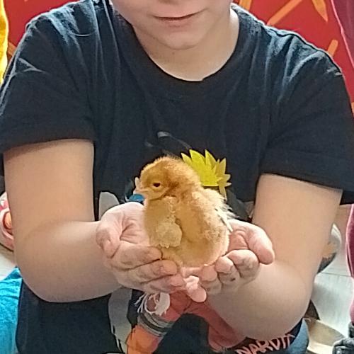 aw