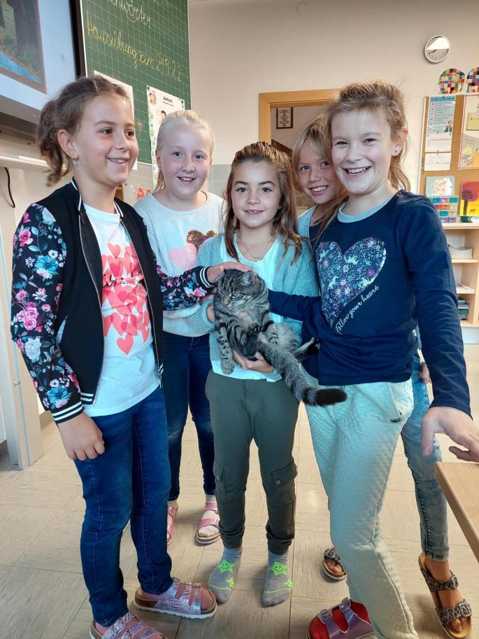 Die Nachbarskatze besucht uns in der Schule