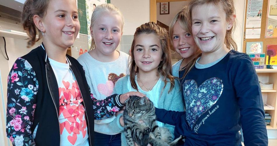 Die Nachbarskatze besucht uns in der Schule